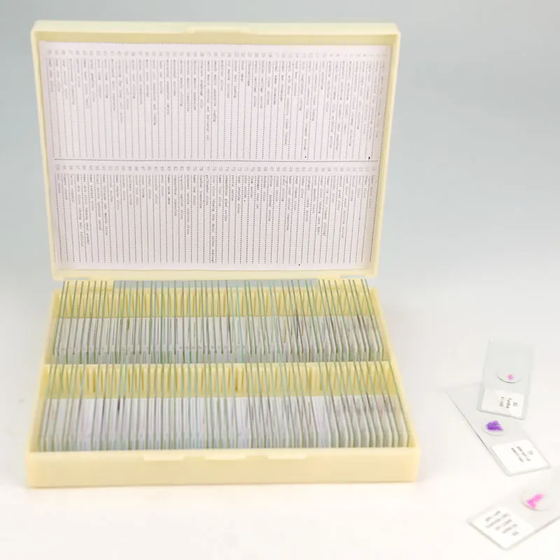 100 PCS Human Tissue Sections Slices Histology Prepared Specimen Microscope Slides with Plastic Box