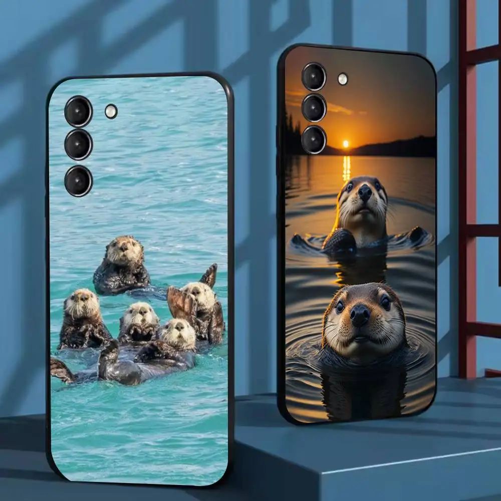 Cute Sea Otters Pho…