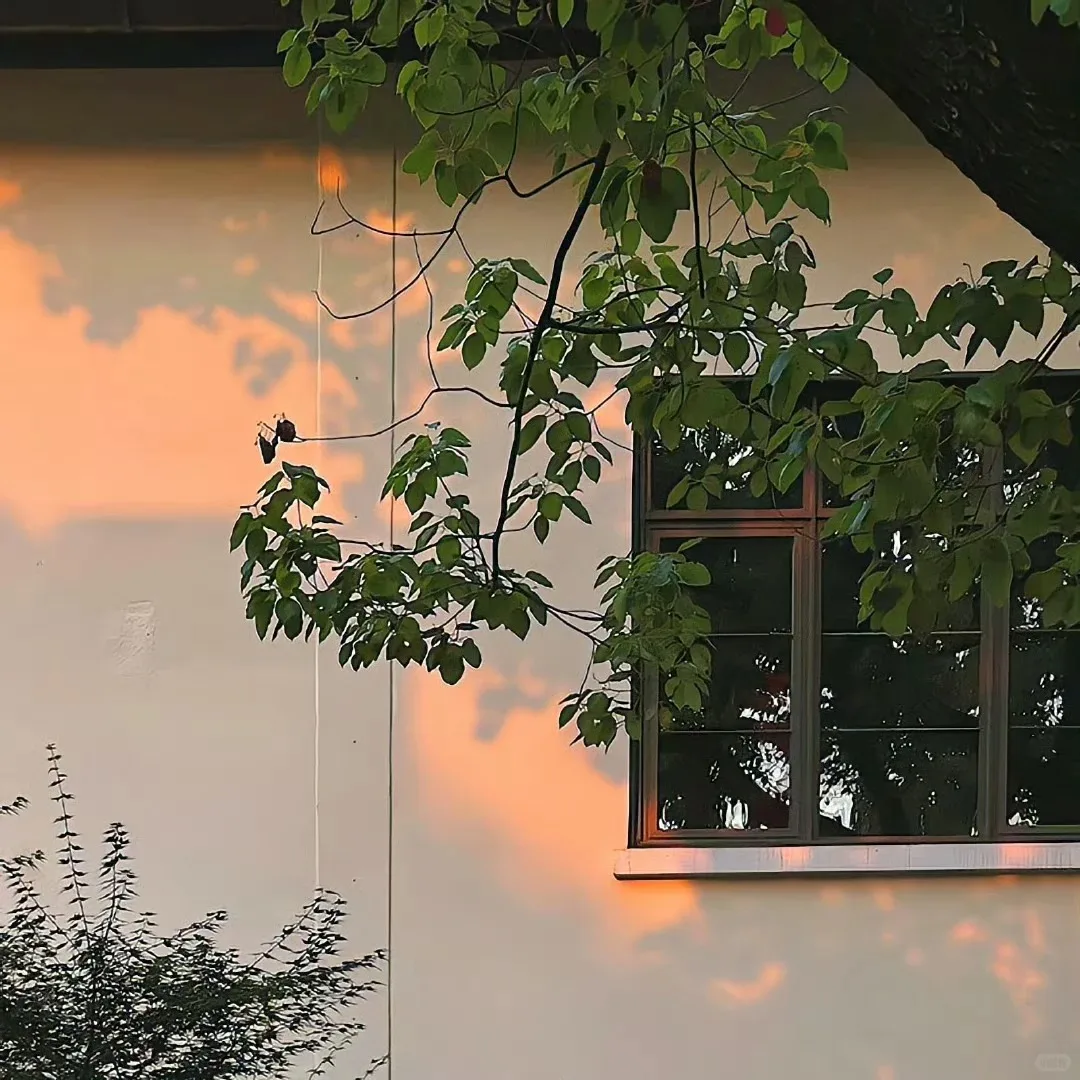 

Multimedia Video Android 14 Blade Screen Stereo For BMW X3 X4 F25 F26 2011-2017 GPS Navi Carplay Car Radio Multimedia CIC NBT