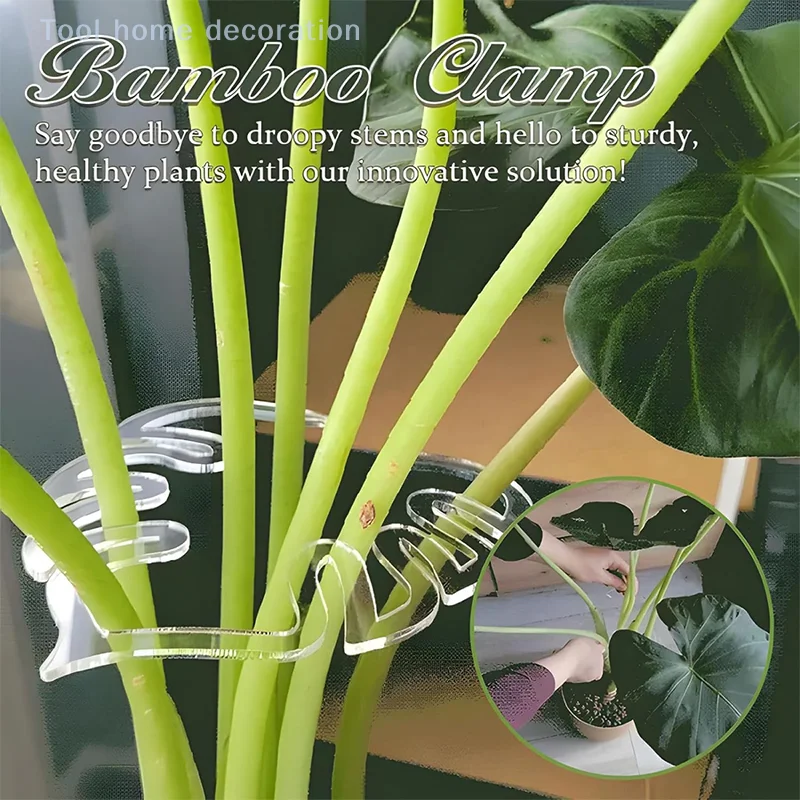 High-Quality Transparent Monstera Plant Stem Support; Durable Potted Plant Holder