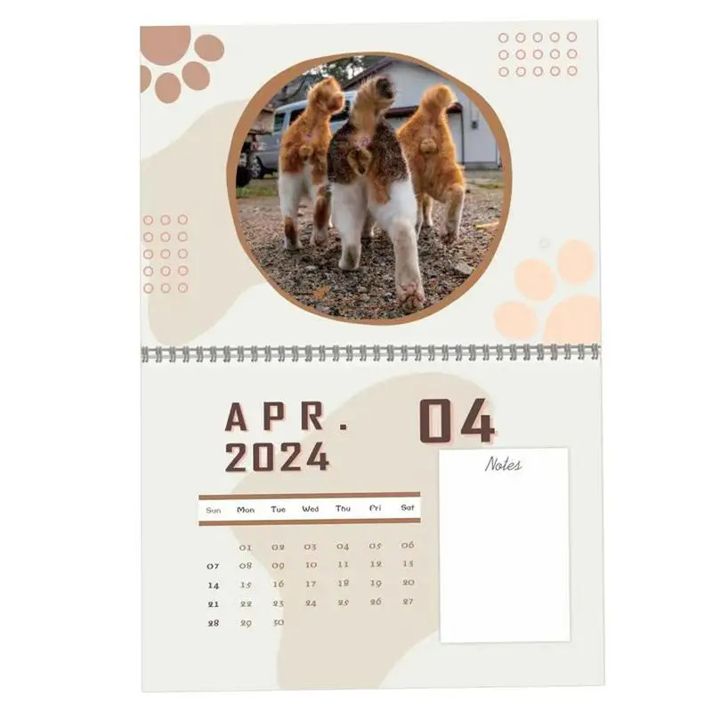 2024 Wall Calendar 12 Month Cat Butthole Calendar From Jan. 2024 Dec. 2024 12 Months Monthly Wall Calendar Hangable Flipping