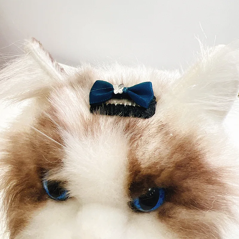 New Ins Pet Hair Clip with Black Bow Cat Dog Hair Clip Pet Headwear Cat Teddy Grooming Dog Supplies Yorkshire Accessories