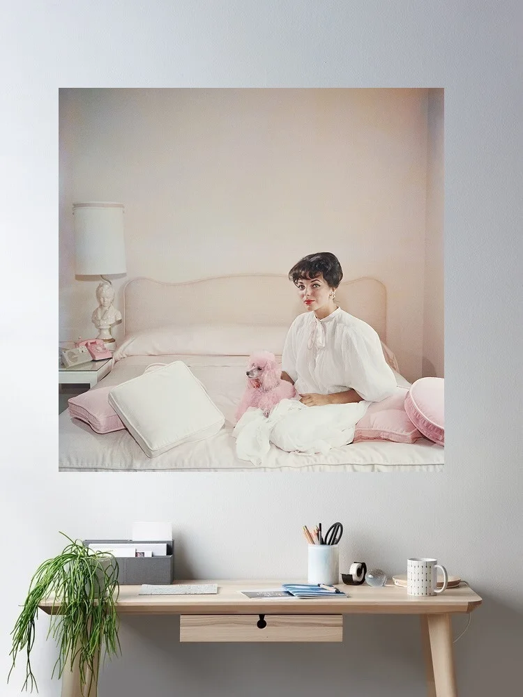 Slim Aarons 'Pink Accessory', Print Art Canvas Poster, Living Room, Home Wall Decor Picture