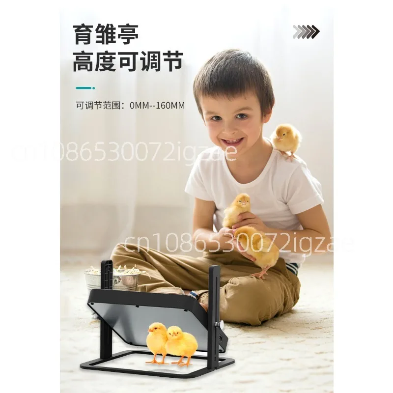 Chicken breeding brooding kiosk heater pet heating plate