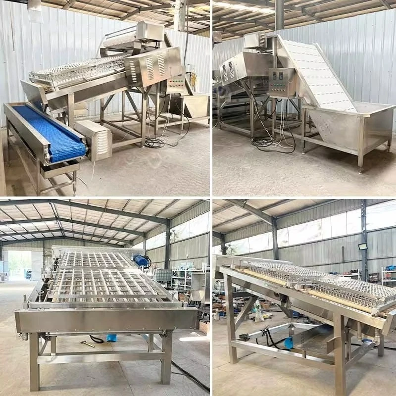 Hot Sale Automatic Peeler Head Removal Prawn Shelling Compact Skin Large Whole Easy Peel Shrimp Machine Customized