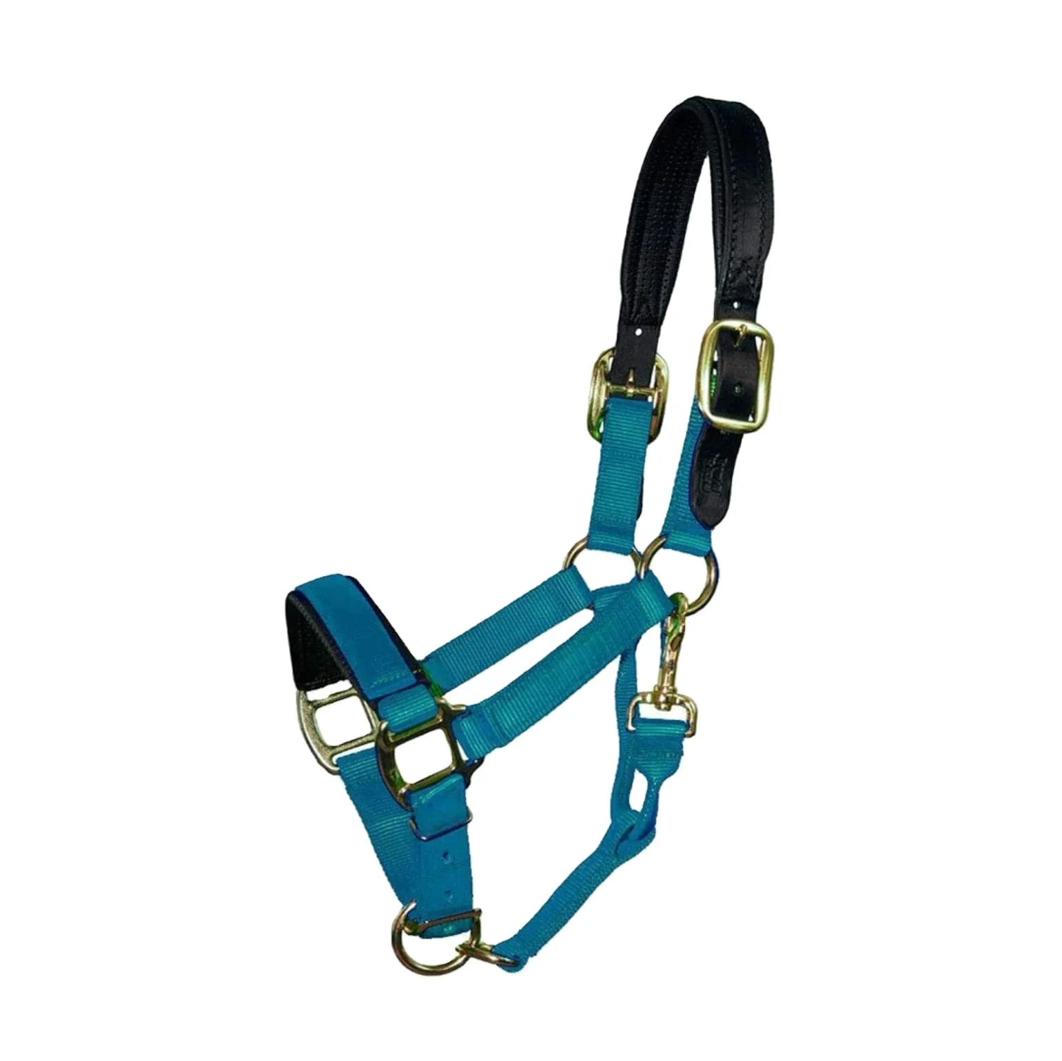 Elastic Horse Cohesive Bandage & Beaded Lead Rope, Equestrian Halter Set