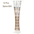 12 Pcs spine 600