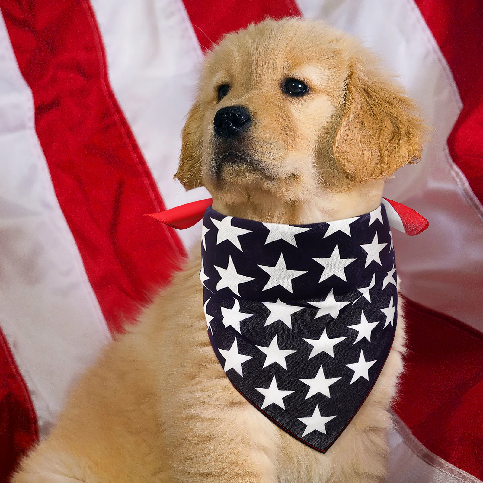 

American Flag Pattern Pet Bib Triangle Saliva Towel Multifunctional Collar Scarf Puppy Dress Up Accessories Dog Necklace Decor
