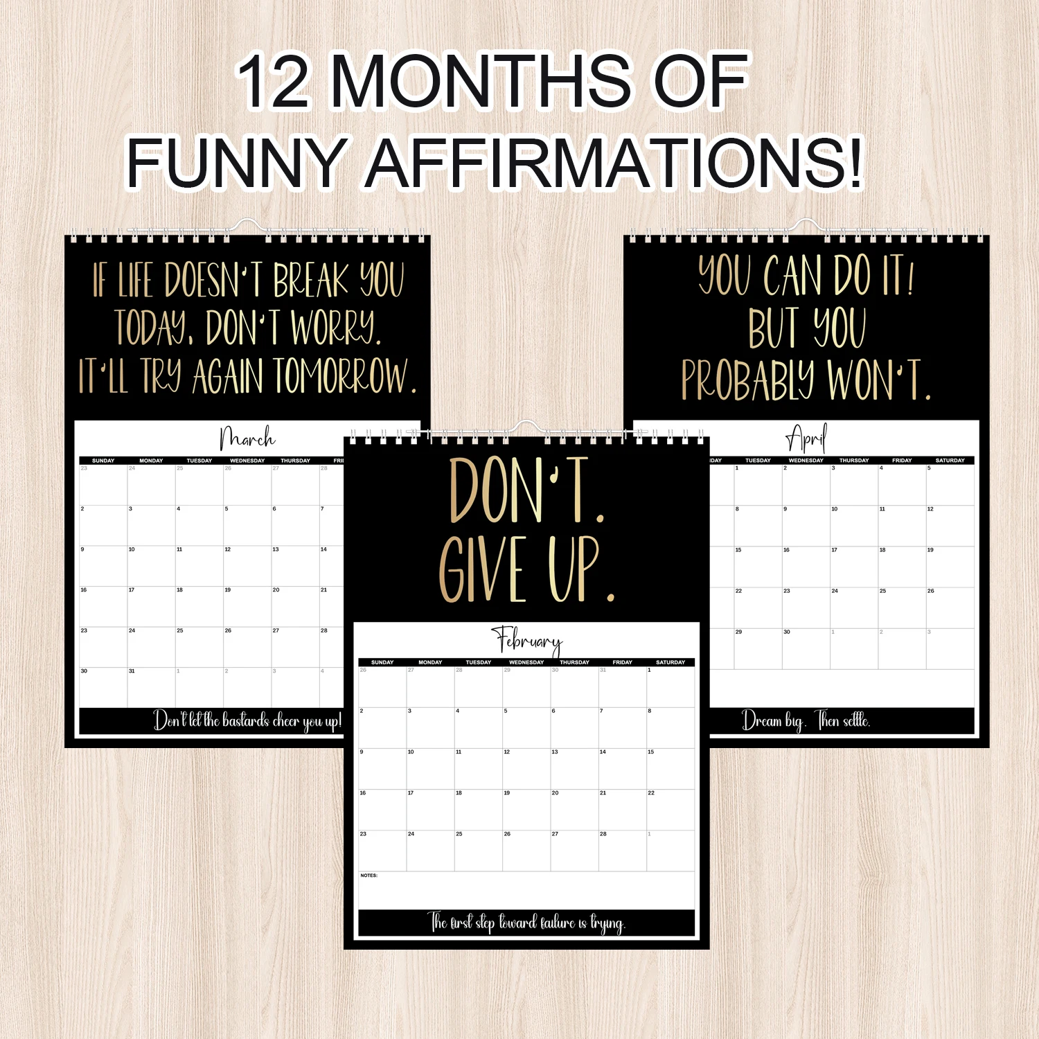 2025Anti-Motivation Sarcastic Wall Calendar - Funny Humor Text Gag Gift, Suitable For Women, Men, Best Friends & Coworkers, Chri