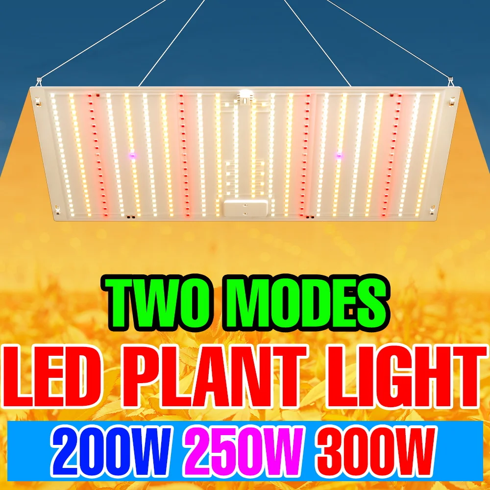 

300W Full Spectrum LED Grow Light Quantum Board Plant Fill Lamp Greenhouse Tent Vegs Flower Fruit Moss Cultivation Lighting
