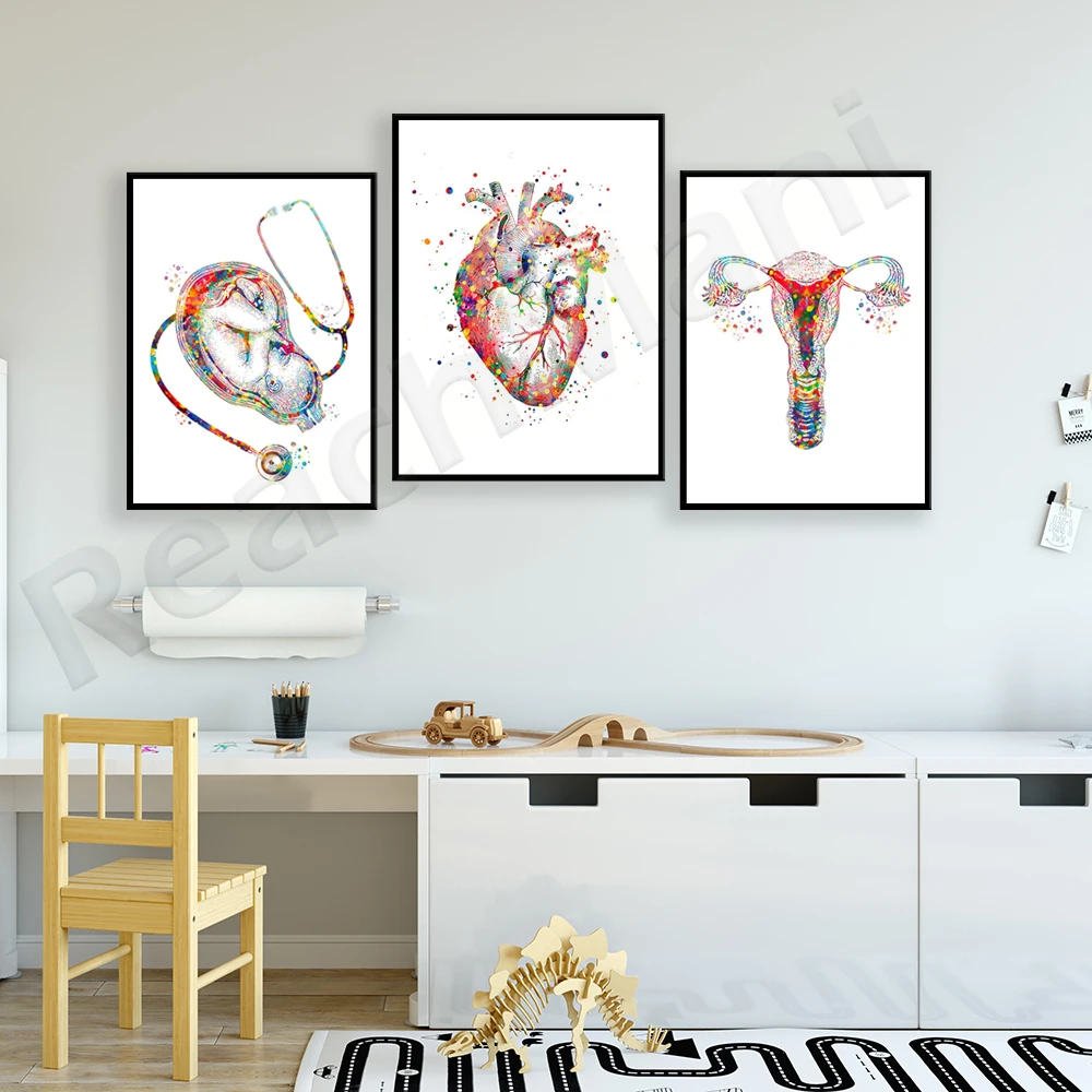 Female Anatomy Baby In Womb Stethoscope Anatomy Heart Uterus Drawing Medical Art Obstetrics and Gynecology Poster Midwifery Gift