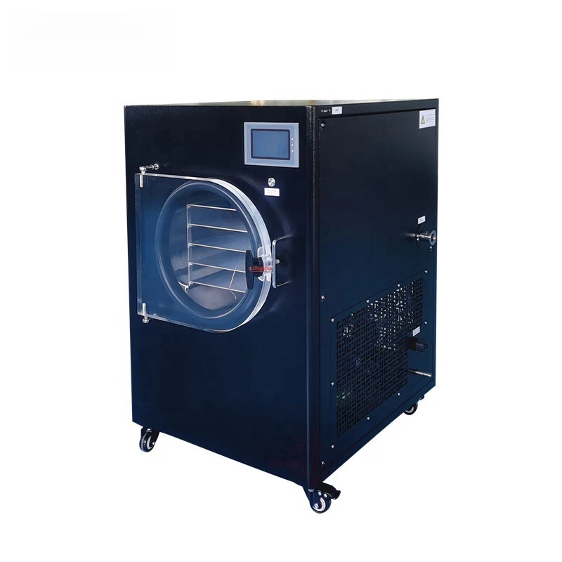 Small Vacuum Drying Lyophilizer Vegetable Fruit Meat Candy Home Freeze Dryer Machine