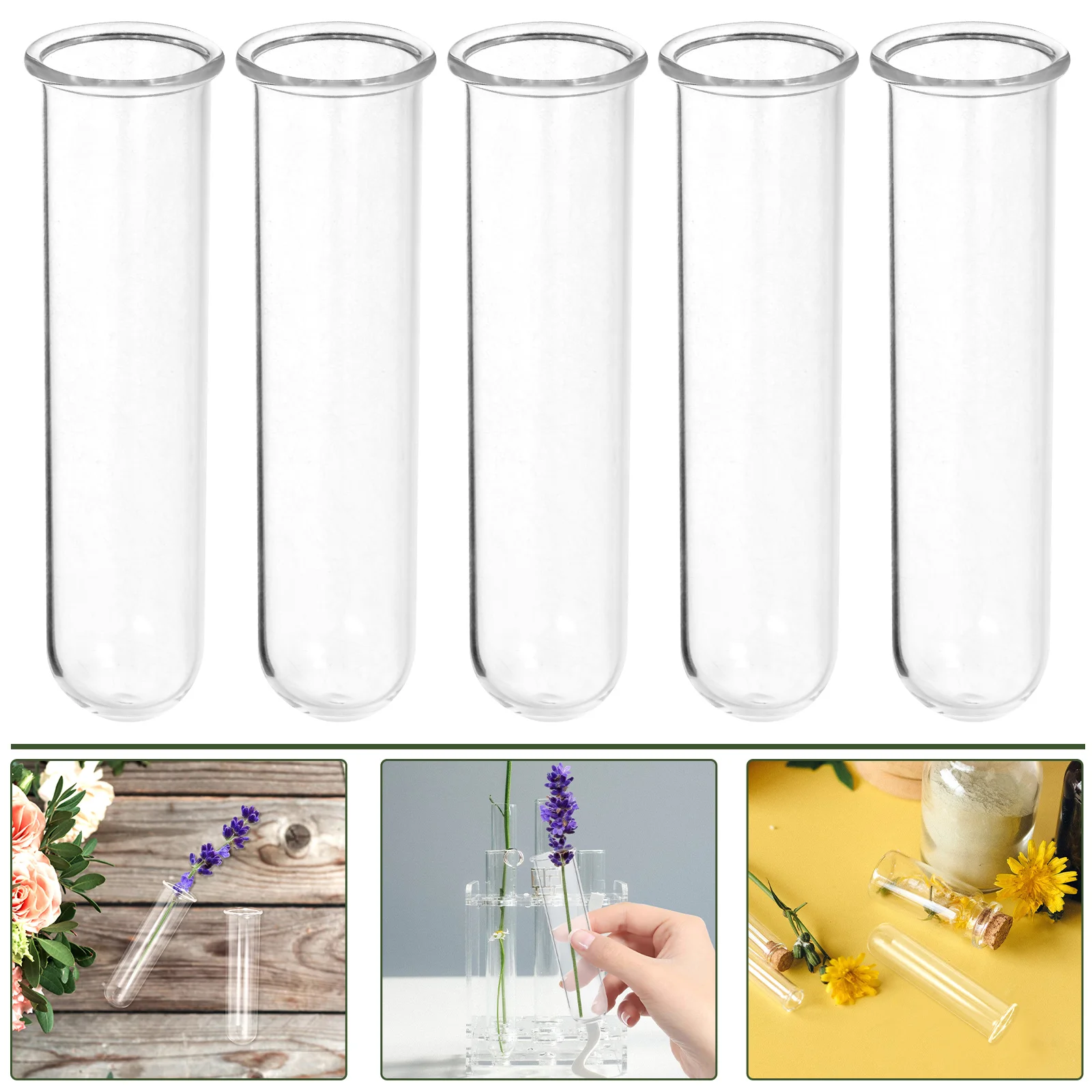 5 Pcs Hydroponic Vase Transparent Glass Tube Plant Propagation Tubes Desk Test Clear Water for Flowers Office