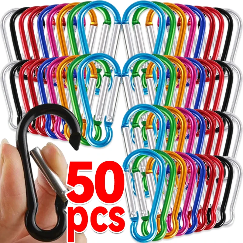 Colorful Carabiner Keychain for Outdoor Use