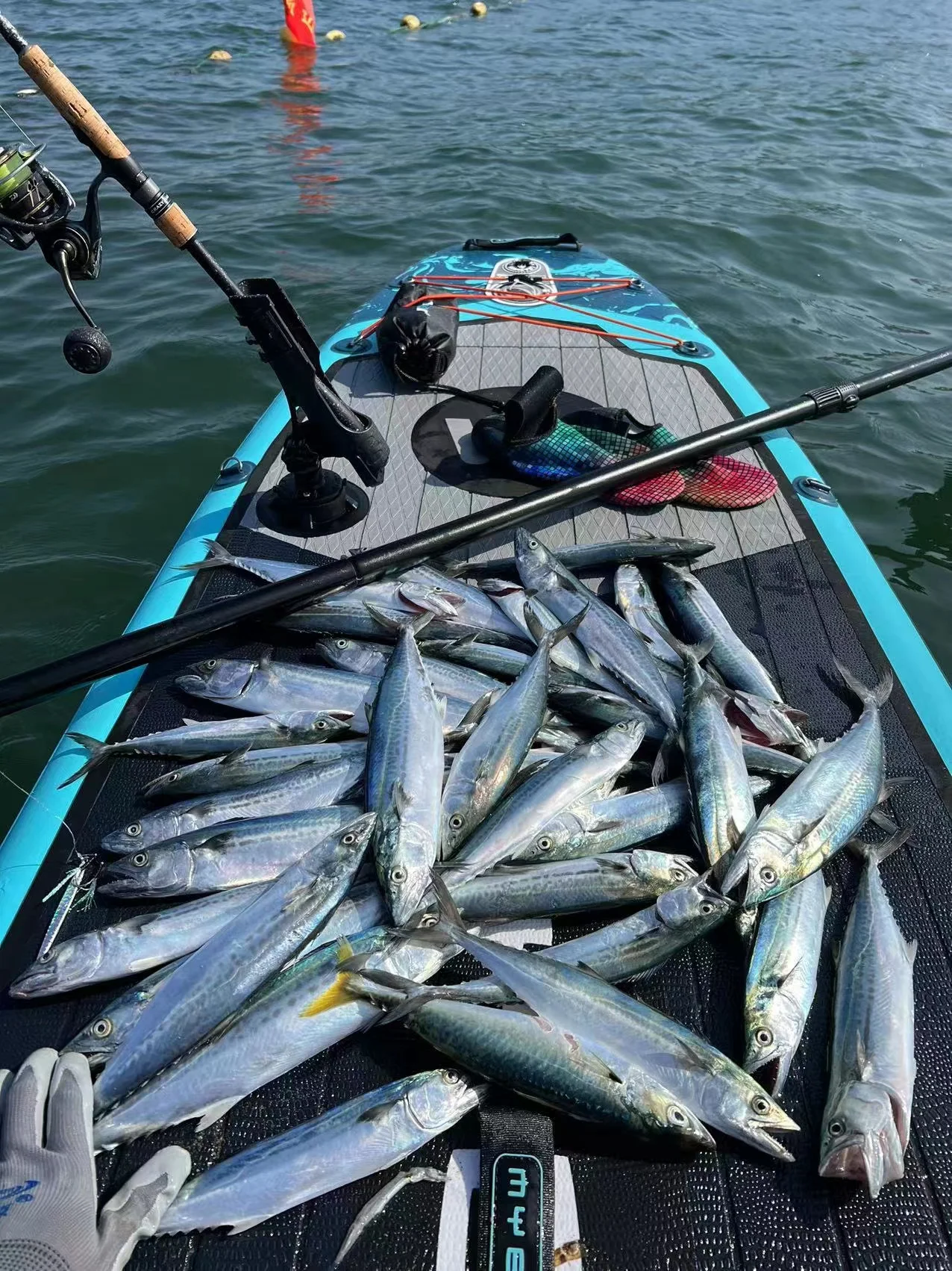 BENIM TEKNE Serisi Weihai Fabr - Fishing Boat Paddle incelemesi ve fiyatı