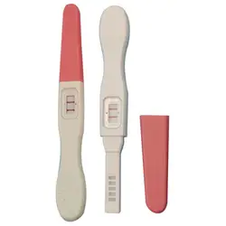 Novelty Funny Prank Toys Simulation Fake Pregnancy Test Positive Pregnancy Test April Fool's Day Spoof Boyfriend Toys Props