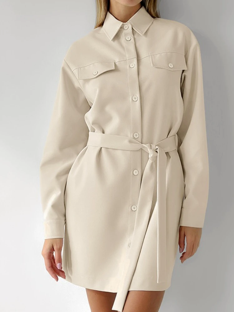 Stijlvolle temperamentjurken Dames Casual revers Lange mouw Single Breasted Lace Up Mini-jurk Dagelijks woon-werkverkeer Vintage slanke jurk