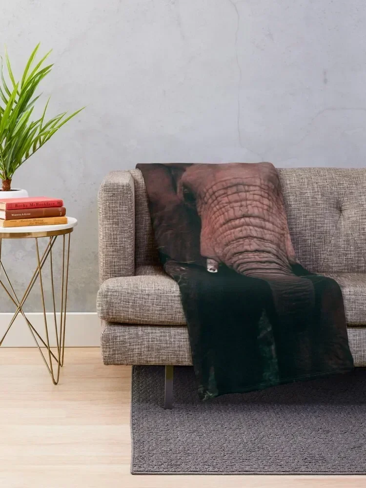 Elephant Throw Blanket Soft Comfort Blanket for Reading Watching TV