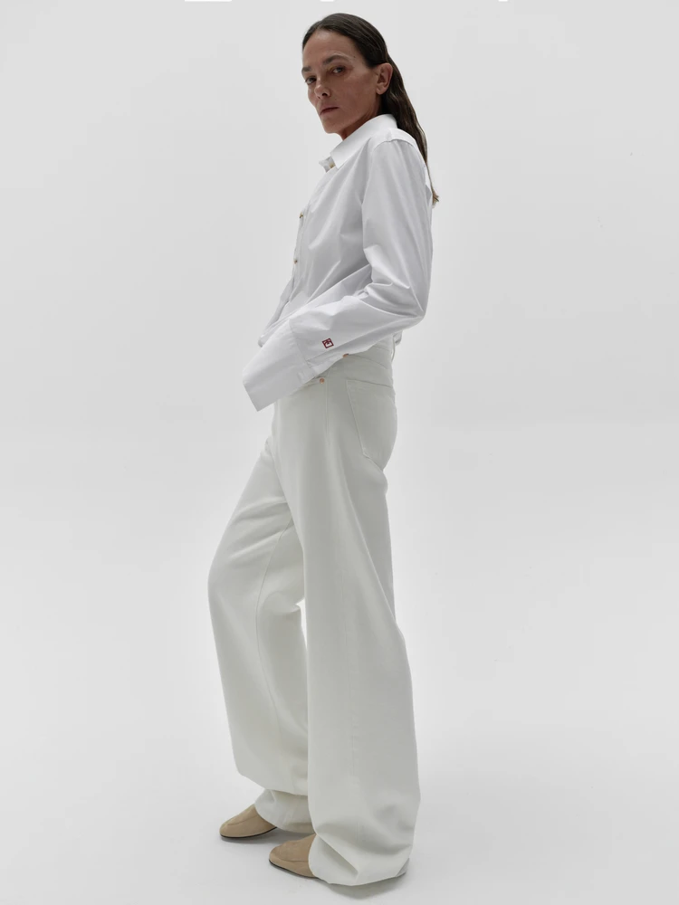 Edition Red Label Spring 2025 Slim Long Sleeve Shirt Straight Cut Pure Cotton Regular Sleeve Length Stand Collar Standard Length