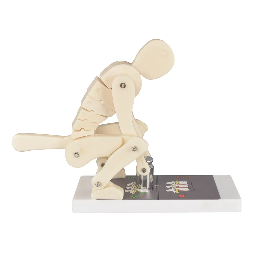 Lifting Manikin Flexible Model Interactive Lumbar Spine Trainer Weight Lifting Posture Correction Spine Force Demonstration
