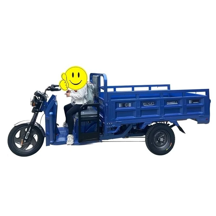 Farm Agriculture Loader 800W 300kg Electric Tricycle Transporter Heavy-Duty Flatbed 60V 1.3m