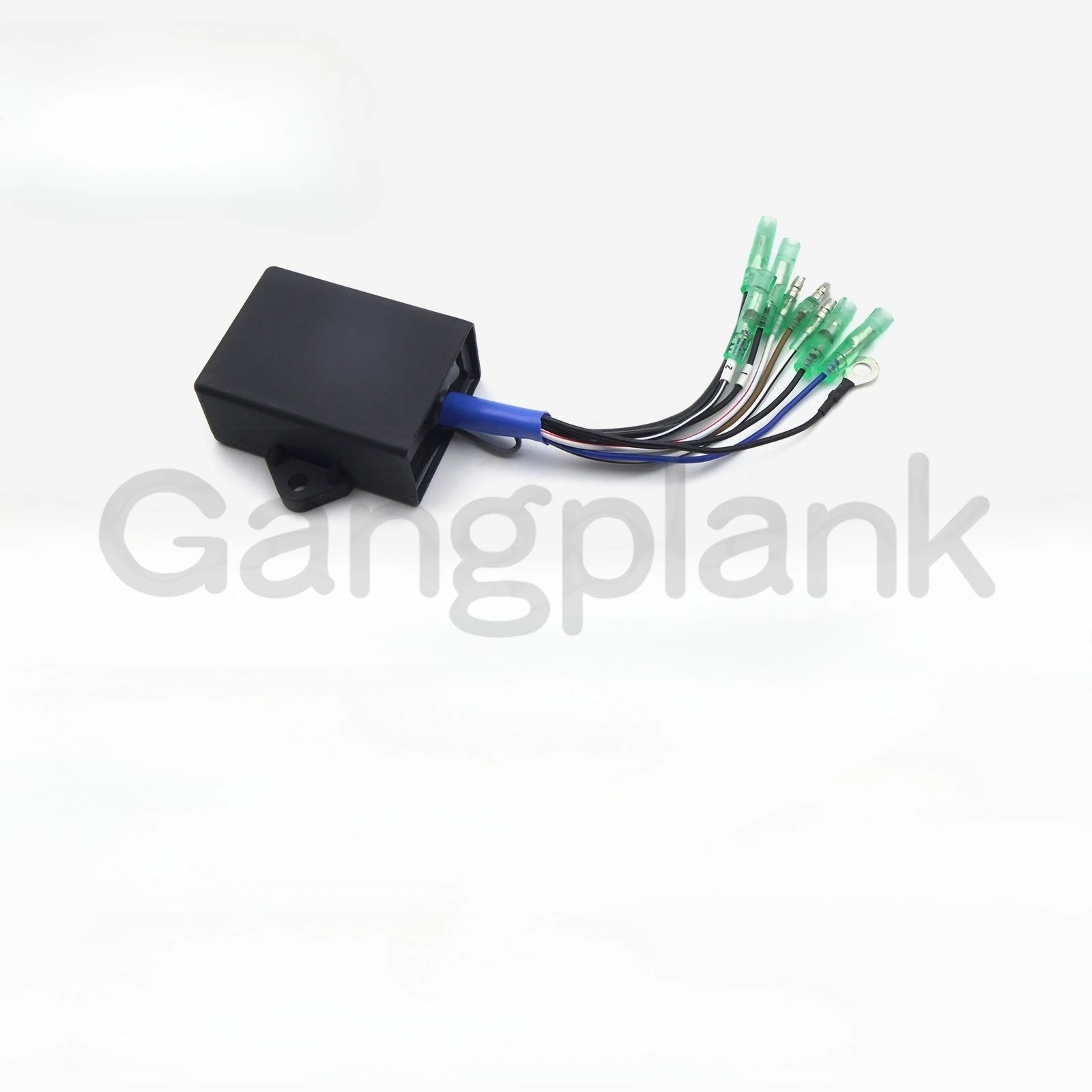 61N-85540-13 Ignition Module for Yamaha 2-Stroke 25-30 HP 25BW 25BWC 25BMH 30HW 30HMH E30HMH Outboard for Parsun Hangkai T30