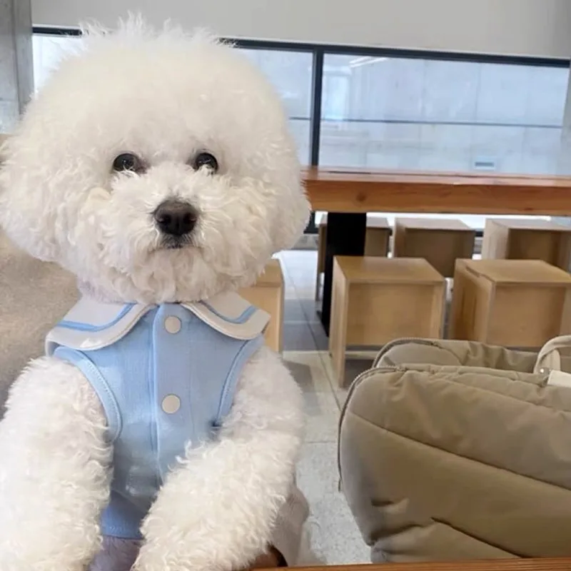 Blue Navy Collar Pet Clothes Teddy Bichon Frise Summer Vest Small Dog Solid Color Pullover Maltese Short Sleeve