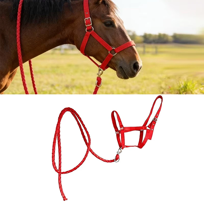 Conjunto de 2 Peças: Cabresto e Guia para Cavalo, Cabresto de Nylon Ajustável com Guia Trançada para Cavalos