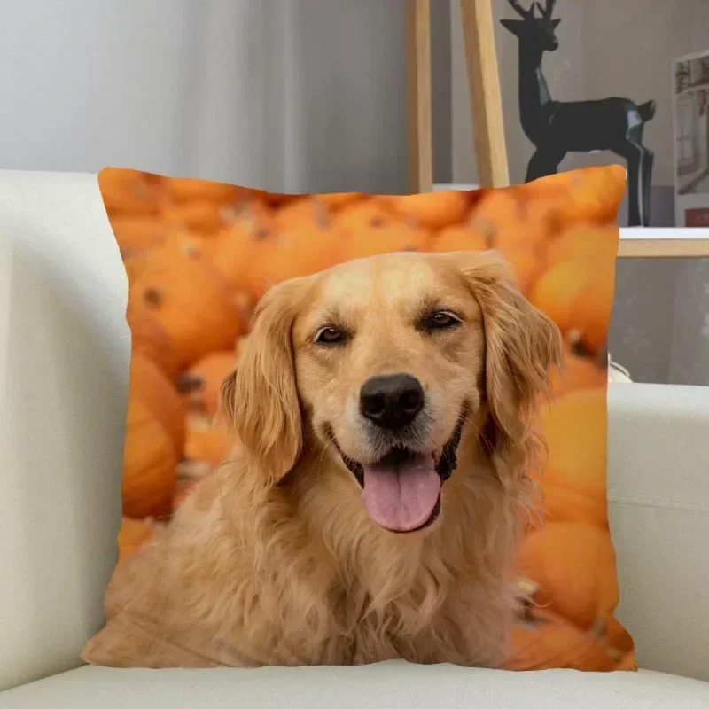 Golden Retriever Dog Pillowcase Sofa Decorative Cushion Cover Pillowcase Home Decor Wholesale 45x45cm 18x18Inch