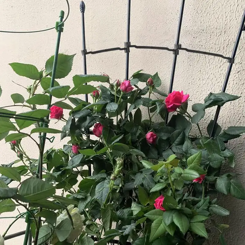 Treliça da planta da treliça do jardim do metal para plantas potted apoio da planta dos potenciômetros da flor treliça empilhável do apoio para