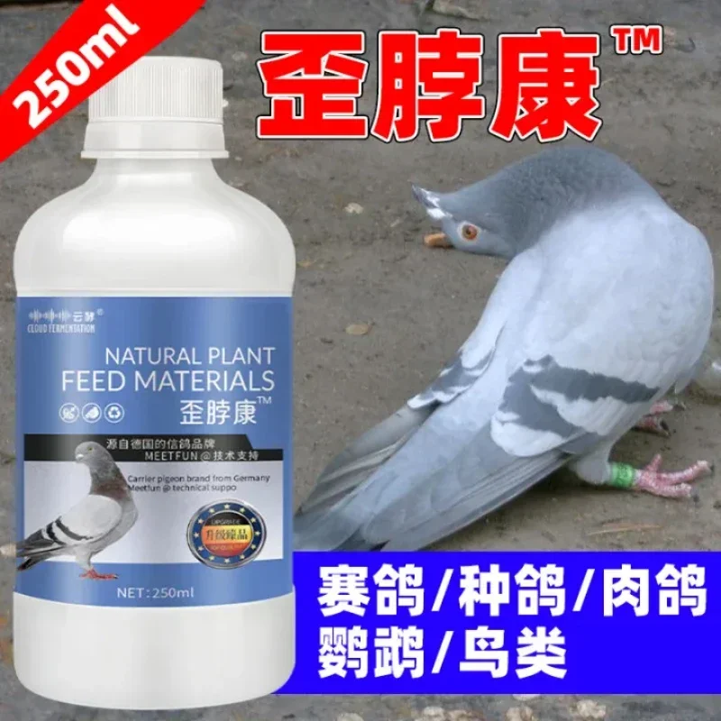 Pigeon Parrot Bird Crooked Head Neck Twisted Neck Shrunk Neck Shake Head Common Disease Medicine Pigeon Medicine