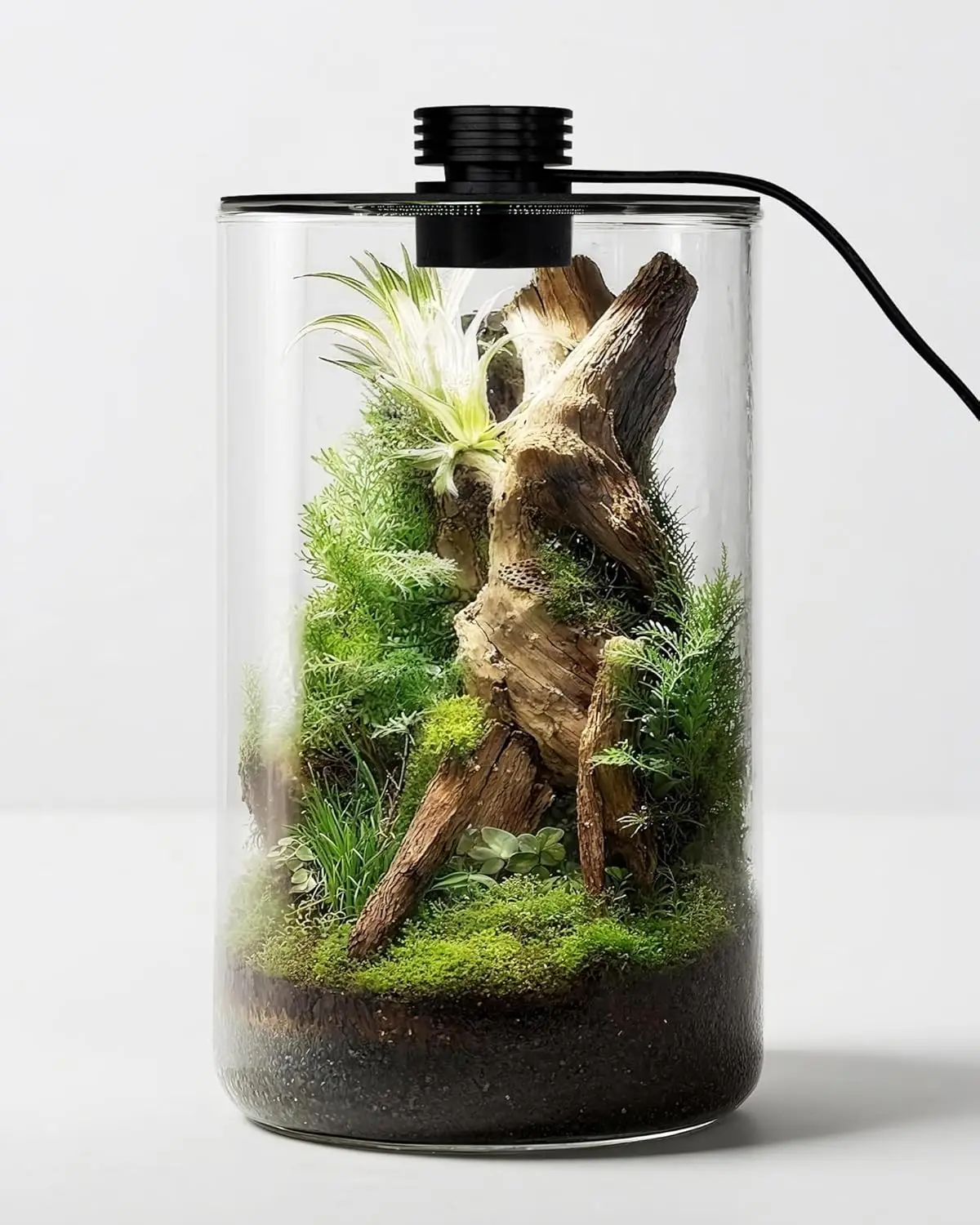 Indoor Glass Terrarium with Grow Light, 9.8