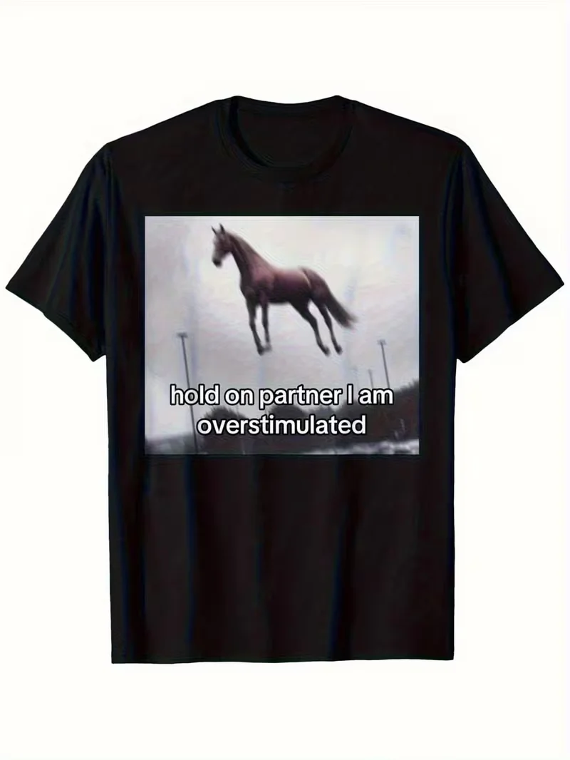 Funny Overstimulated Horse Meme Chonky Pigeon & Smoking Nuns Graphic T-Shirt Viral Meme Oversized Casual Tops