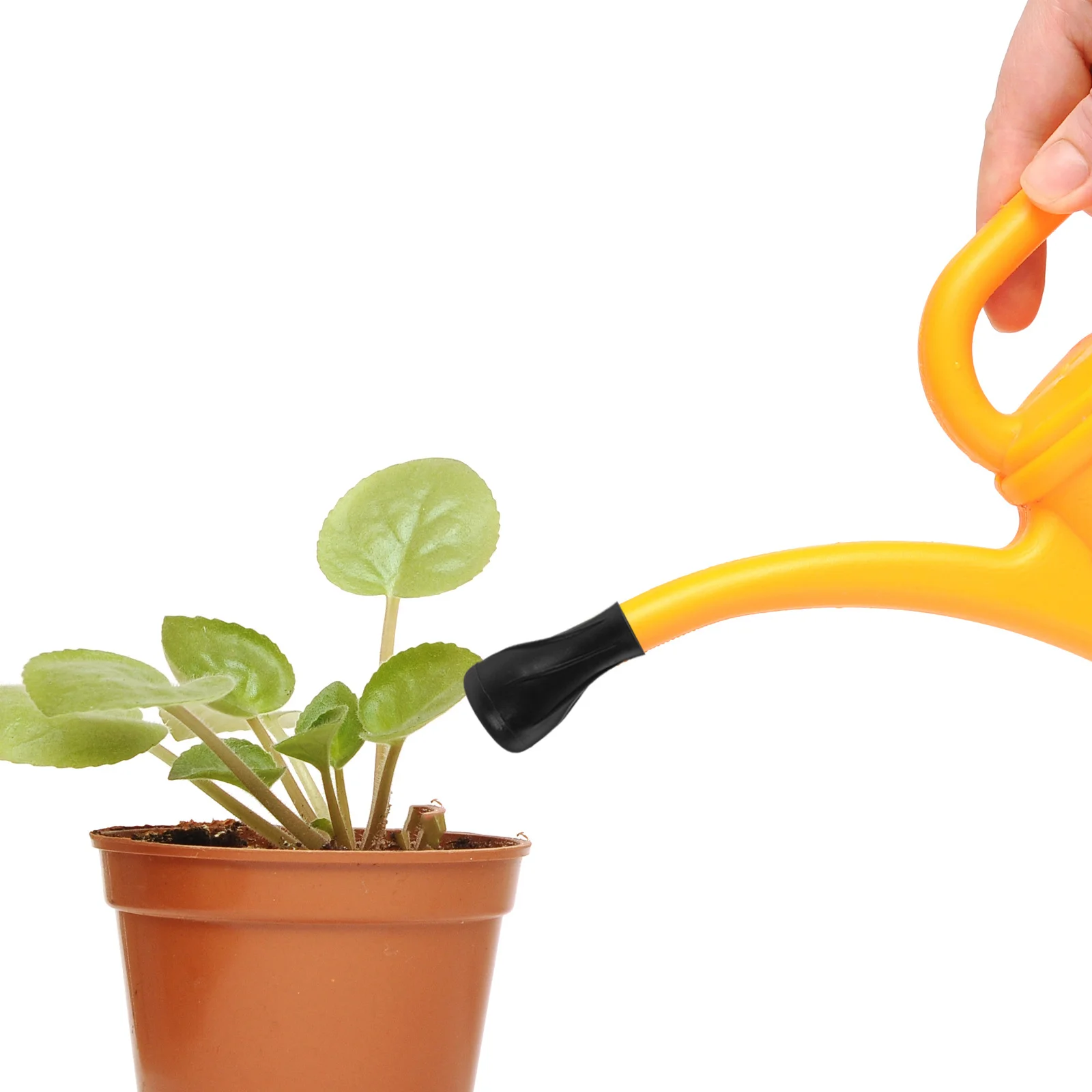 

Sprayer Head For Watering Can Garden Bonsai Flower Pot Herb Indoor Outdoor Plants Plastic Watering Nozzle Adapter Cap Spout Mist