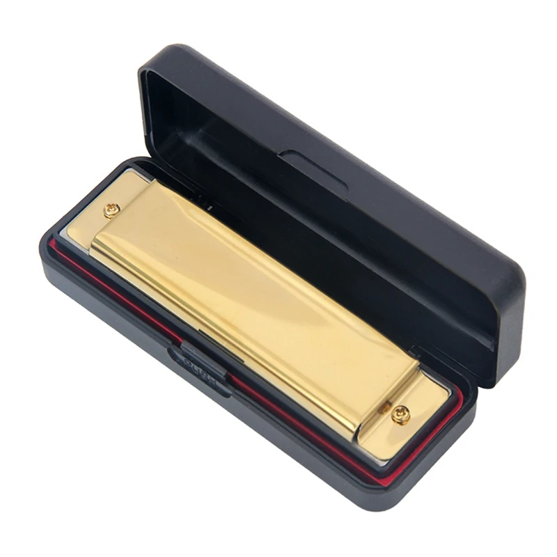 10 حفرة البلوز هارمونيكا C مفتاح طالب الأطفال التعليم المبكر لغز آلة موسيقية لعبة تعليمية