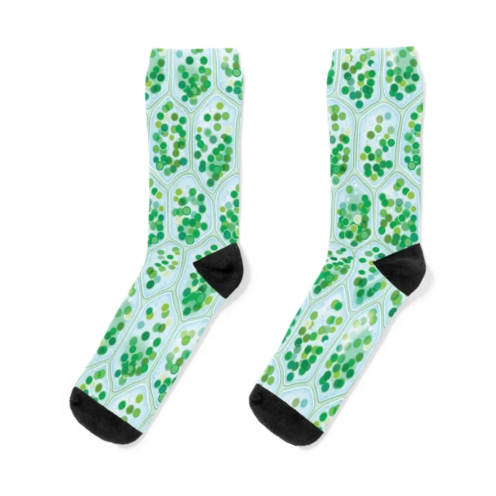 Chlorophyll Cells seamless pattern Socks Sports Crossfit Ladies Socks Men's