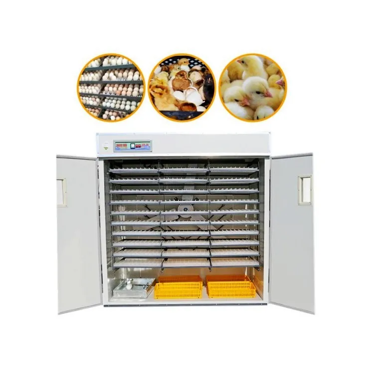 Reasonable Price And New Type Egg Incubator Controller Automatic Chicken Egg Incubator Fully Automatic
