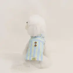 Chaleco camisola refrigerante sin mangas para Schnauzer y Teddy