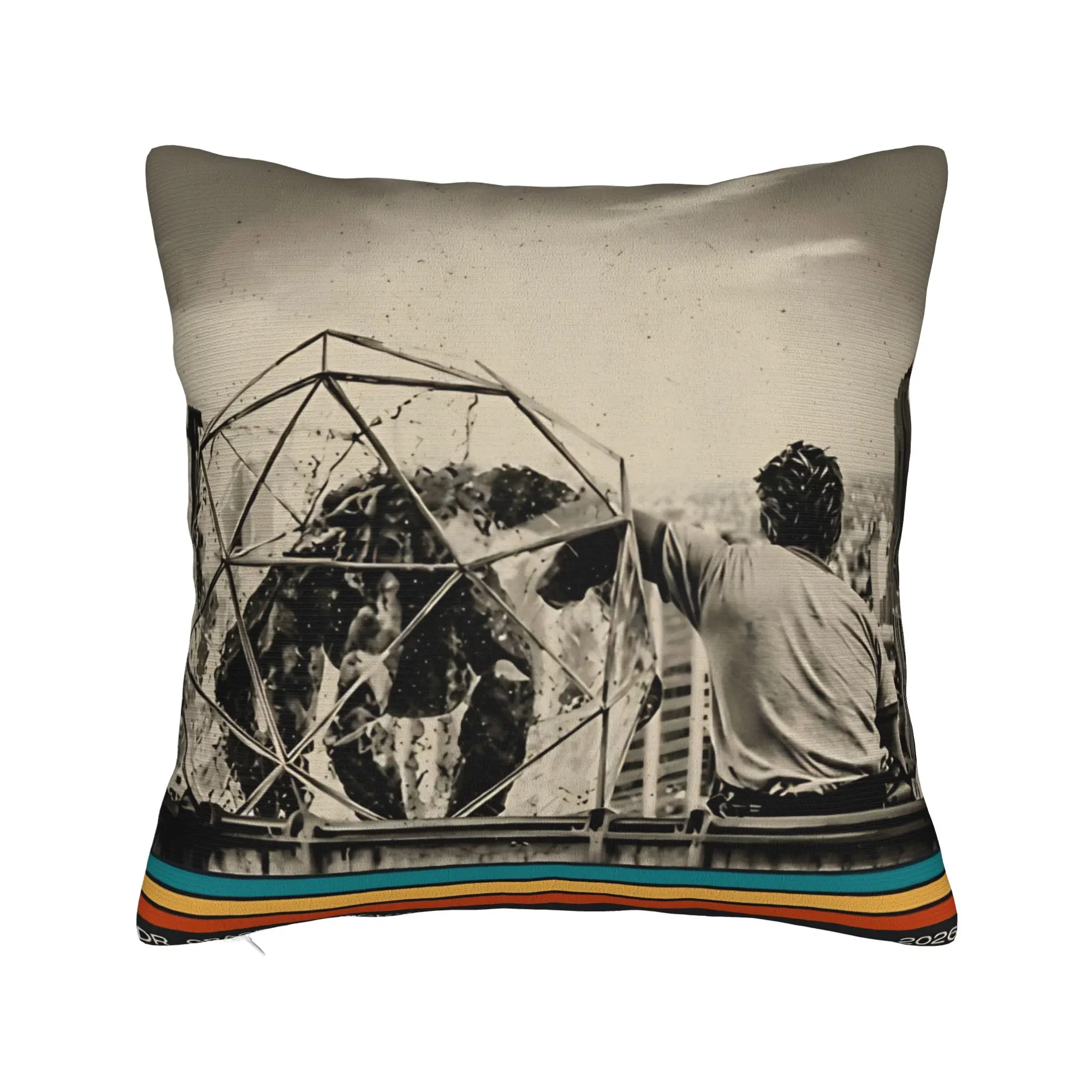 Project Hail Mary Pillow Case  Graphic Pillow Cover For Sofa Bedroom Home Decor Retro Trendy Pillowcases