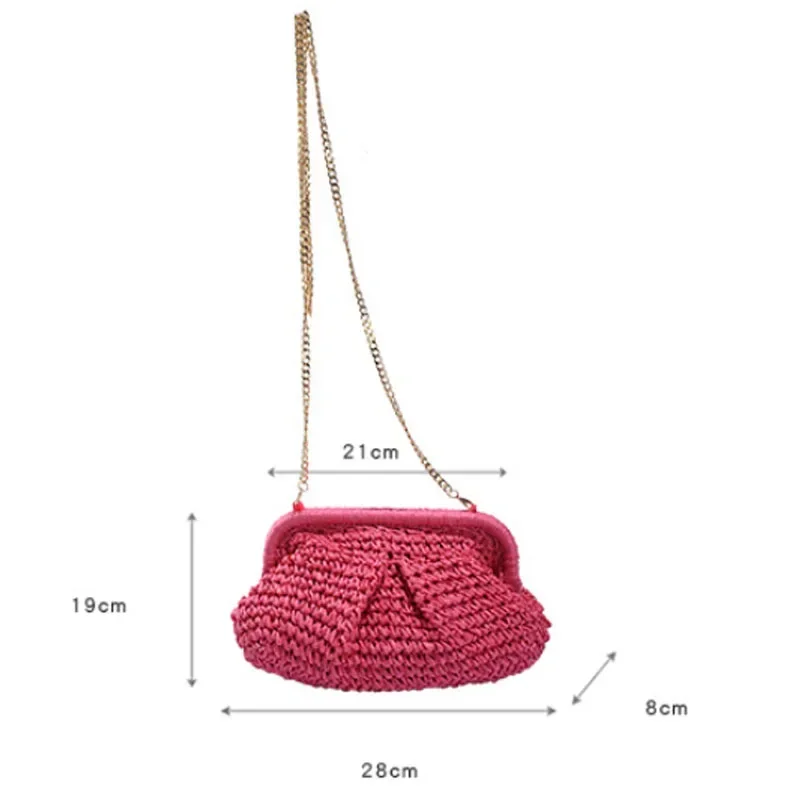 Summer Designer Shoulder Bag Warm Party Straw Weaving Purse Bag Women Pillow Dumpling 2024 Winter Pouch Cloud Cross Body Bag