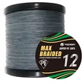 12X-Gris