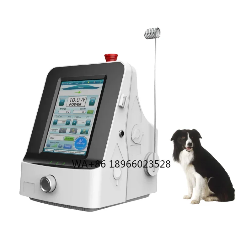 

Veterinary High Power Therapy Machine Therapy Machine Pain Relief For Physiotherapy