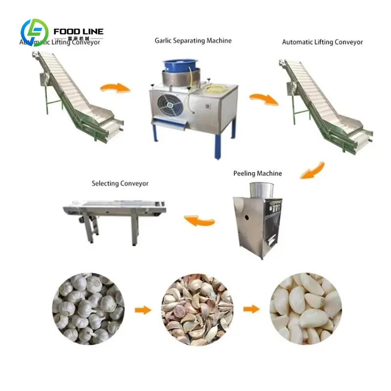 Easy Operation Garlic Peeler Washer Simple Maintenance Low Skill Requirement for Food Processing Plant Custom