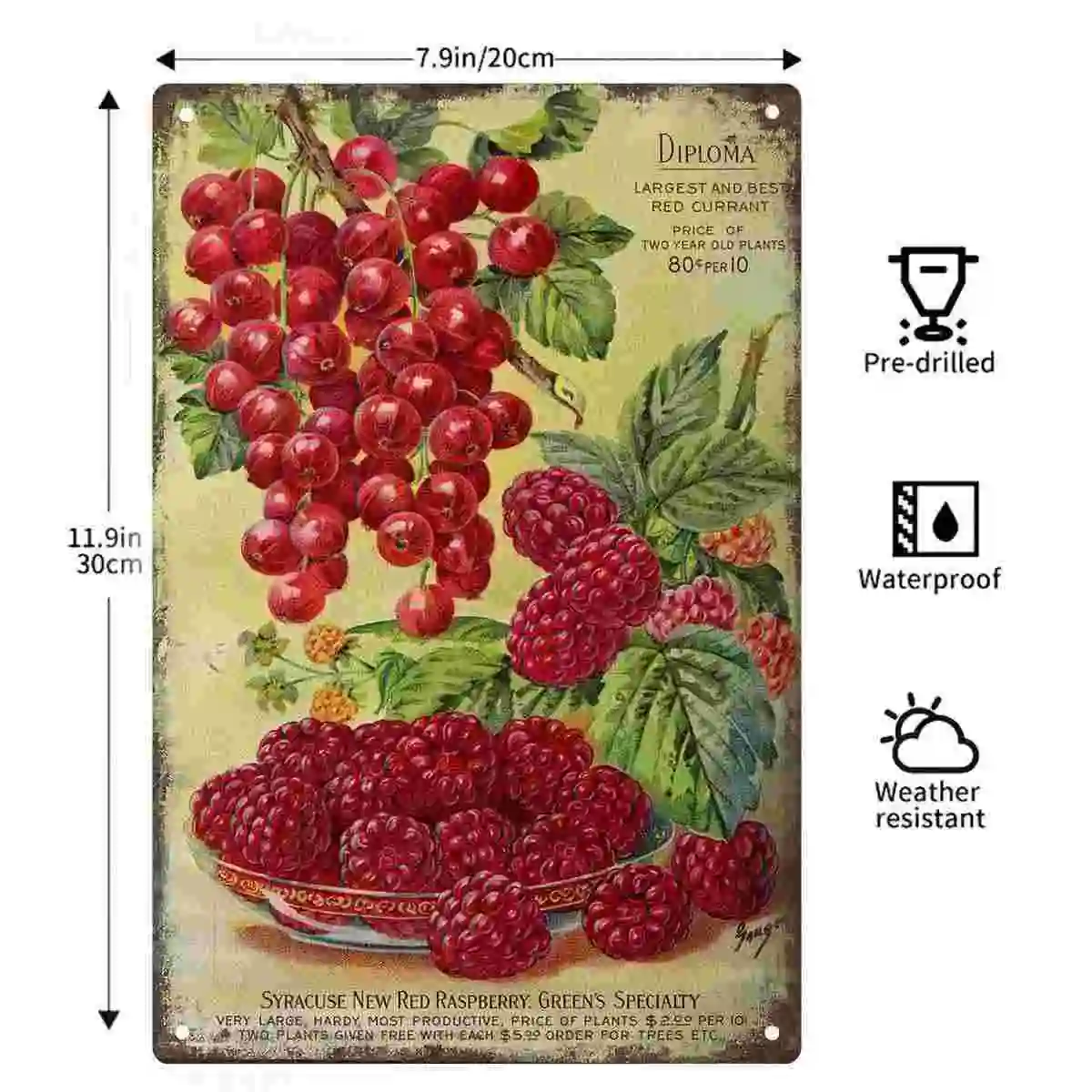2D FLAT 1pc Vintage Red Currant and Raspberry Botanical Advertisement Metal Wall Sign Decoration for Home Cafe Garage Bedroom