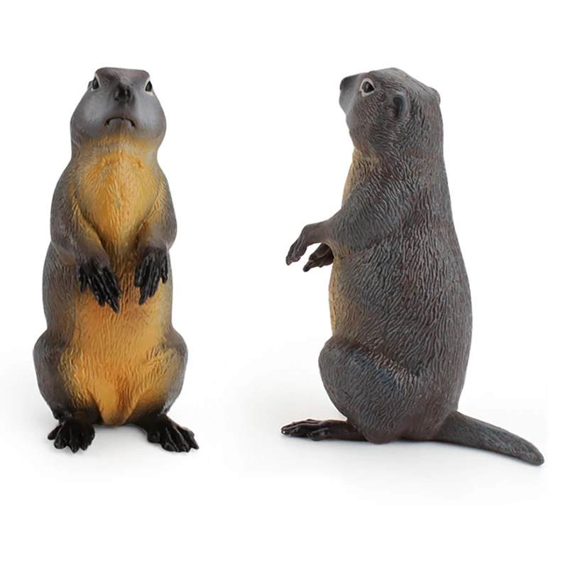 Simulation Forest Wild Animal Solid Model Groundhog Desktop Ornaments Early Education Cognitive Toys Children Gifts