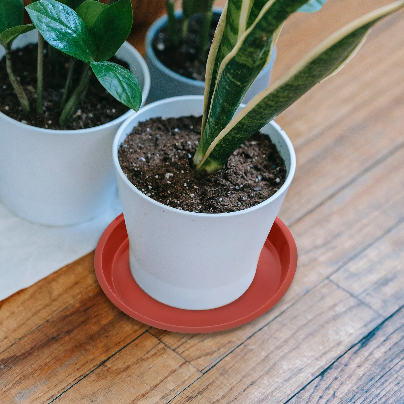 

4pcs Flower Pot Tray Large Small Plant Pots Saucer Succulent Plastic Tray Heat Resistant Durable Premium Material