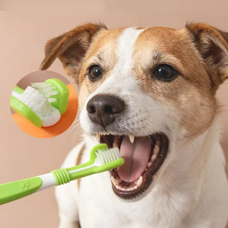 : Spazzolini da denti per cani