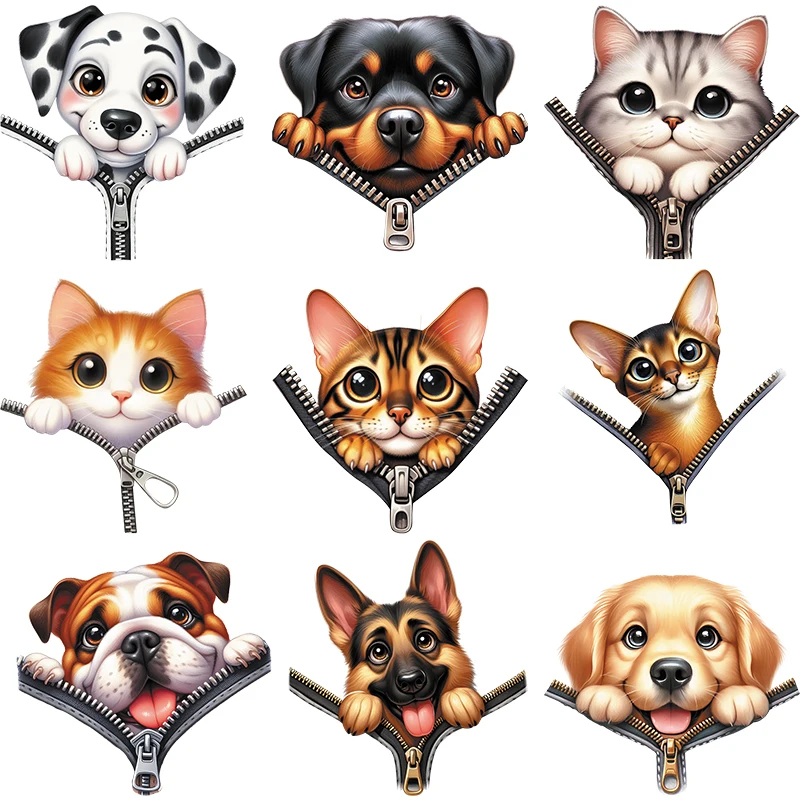 The Dog And Cat In …