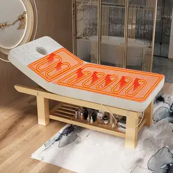 Portable Massage Mesa Spa Electric Stretchers Beauty Salon Bed Professional Beds Couch Massagebett Electric Bed Beautician