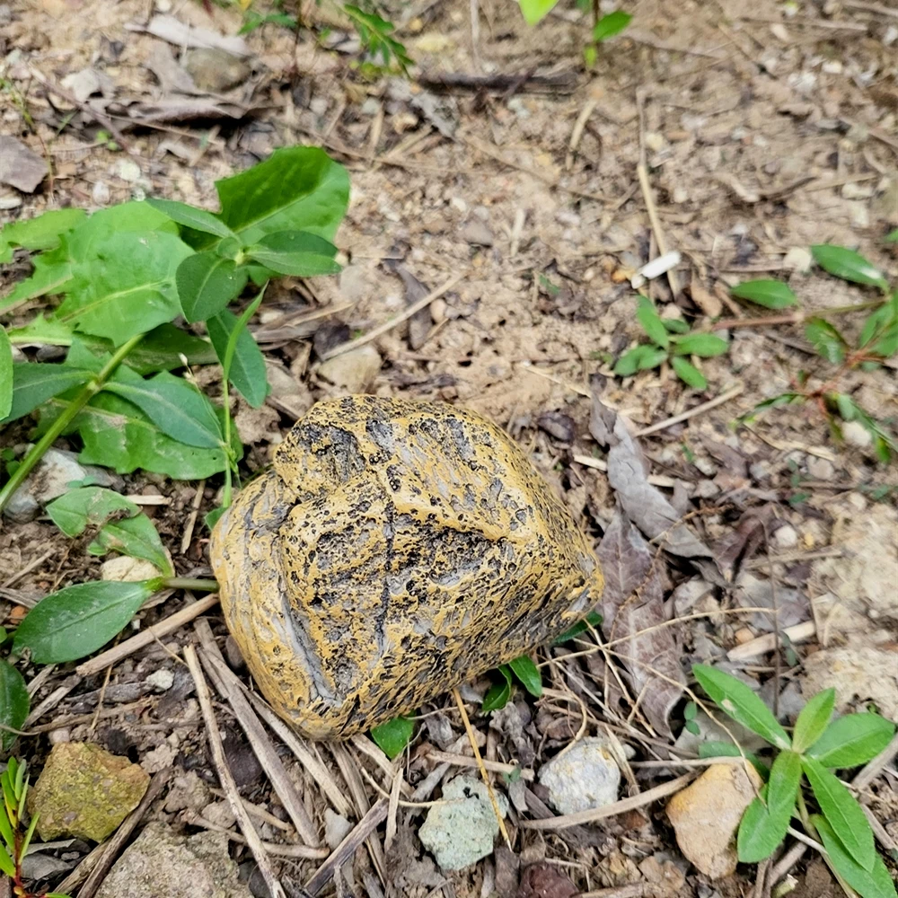 Scatola di sicurezza con chiave nascosta in pietra di simulazione in resina scatola di supporto di ricambio sicura per chiave in pietra Anti-smarrimento per scatola segreta per camion per auto di casa